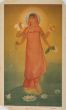 Mother India 
