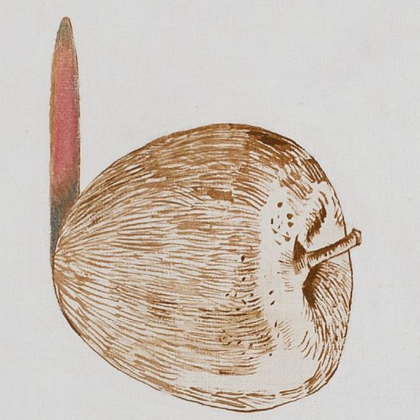 Prabhakar Barwe: Between Object and Space